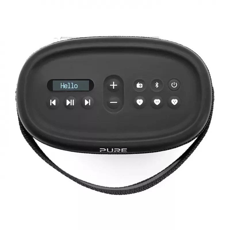PURE ACOUSTICS Pure Woodland Przenośny głośnik Bluetooth – 10W, wodoodporny, radio FM/DAB+, czarny (253344)