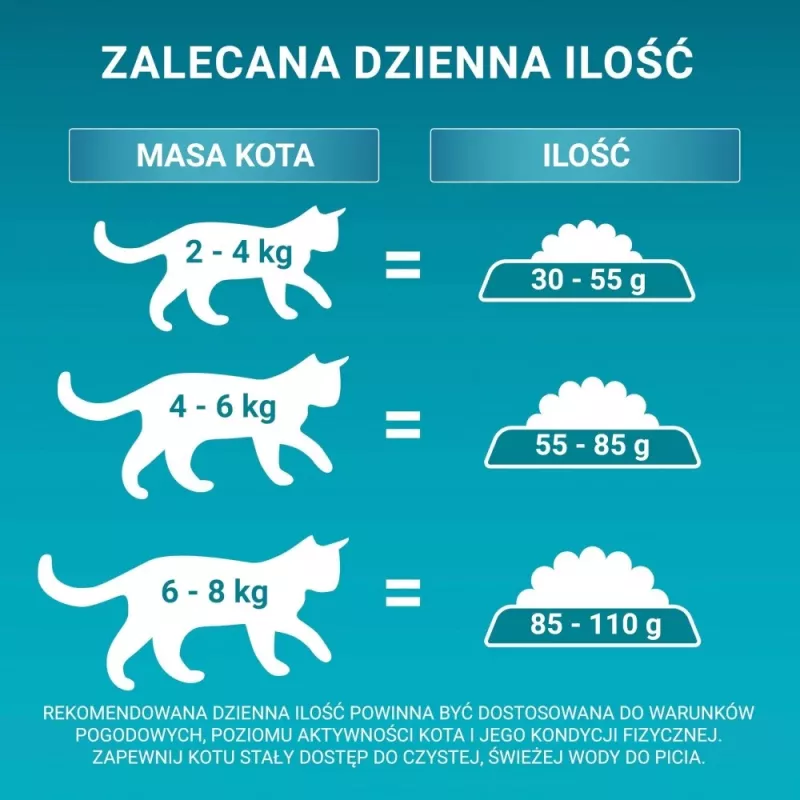 Purina ONE Sensitive Turkey & Rice Sucha Karma dla Kotów 750g