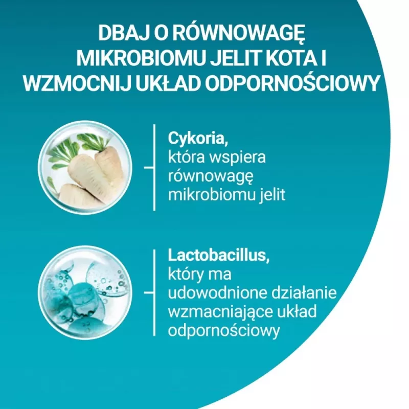 Purina ONE Sensitive Turkey & Rice Sucha Karma dla Kotów 750g