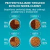 Purina ONE Sensitive Turkey & Rice Sucha Karma dla Kotów 750g