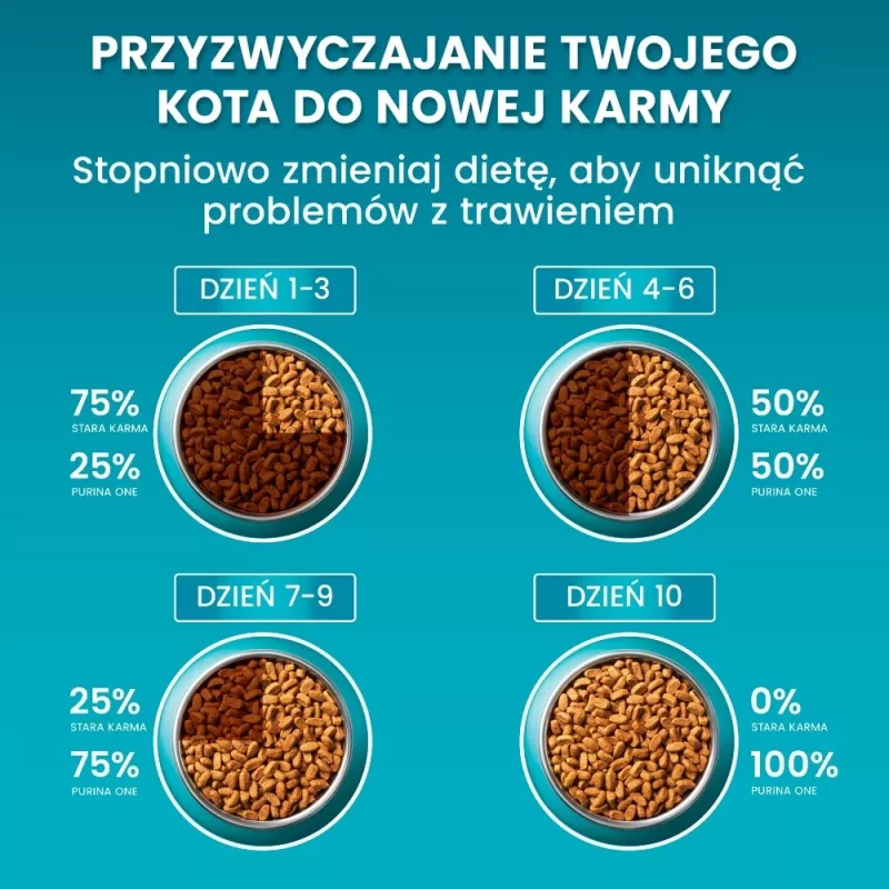 Purina ONE Sensitive Turkey & Rice Sucha Karma dla Kotów 750g