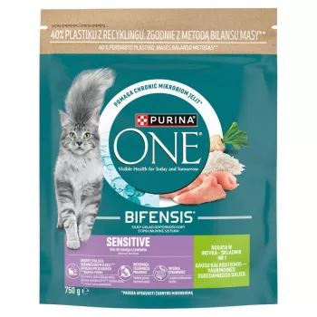 Purina ONE Sensitive Turkey & Rice Sucha Karma dla Kotów 750g