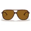 Ray-Ban Bill RB2198 Okulary przeciwsłoneczne Szylkret Havana Brązowe Classic B-15 60mm Unisex