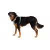 Ruffwear Front Range Szelki dla psa XS - River Rock Green