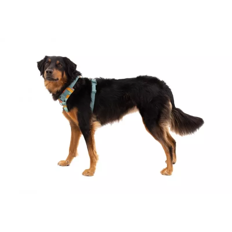 Ruffwear Front Range Szelki dla psa XS - River Rock Green