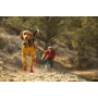 Buty dla psa Ruffwear Grip Trex - Obsidian Black, rozmiar XXS