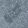 Russell Hobbs RH03858 Nightfall Stone Blacha do Pieczenia 2 szt., Stal Węglowa, Nieprzywierająca, Odporna na Temperaturę do 230°C, Prostokątna, Ciemnoszary/Czarny