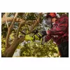 Ryobi ONE+ RY18PS15A 18V Cordless Pole Saw 15cm (150mm) Bar – Bare Tool