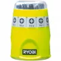 RYOBI RAK10SD 10-częściowy zestaw bitów wkrętakowych (zielony)
