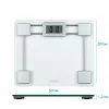 Salter 9081 SVFEU12 Szklana Elektroniczna Waga Łazienkowa, Srebrny/Przezroczysty