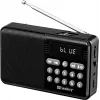 SANDBERG Speaker Radio FM+BT Recharge Przenośny głośnik Bluetooth z radiem FM, AUX, USB, MicroSD, 6W, czarny