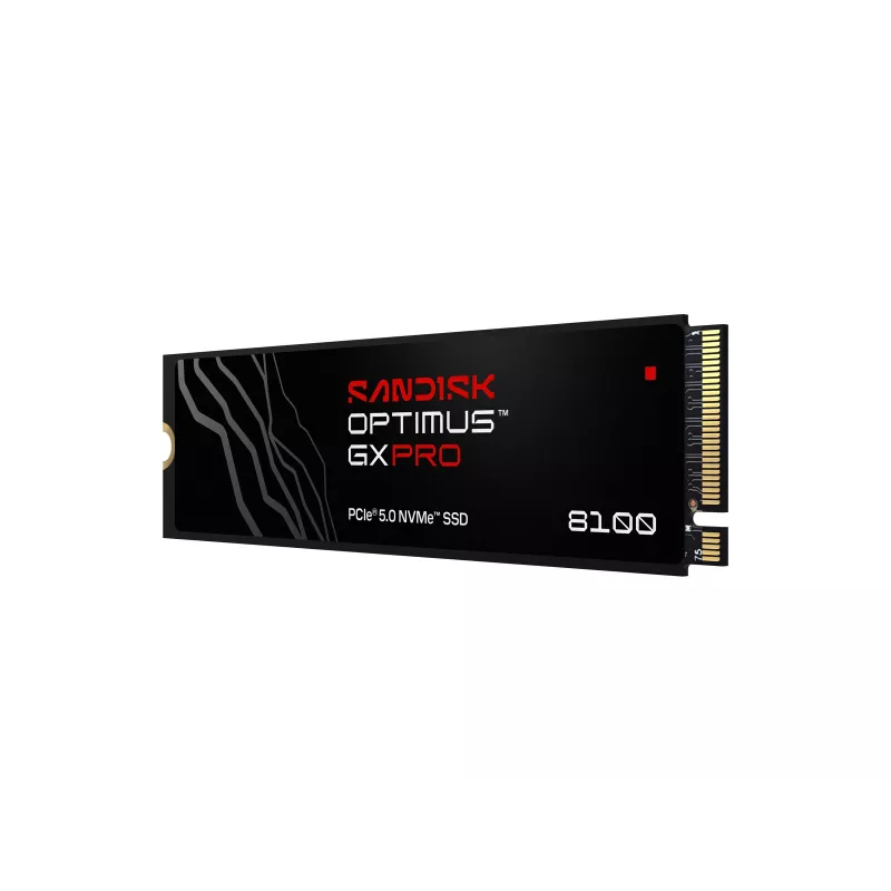 SanDisk Interne SSD Optimus™ GX PRO 8100, 8TB (00233411)