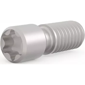 SCHROFF Wkręt dociskowy M2.5 x 9 mm Torx T8, stalowy, 100 szt. (21102980)