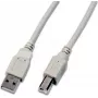 Kabel Wirewin USB 2.0 A-B 1m szary USB A-B MM 1.0 GR