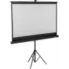 SpeaKa Professional Ekran projekcyjny na statywie 200 x 112 cm 16:9 SP-PST-350 SP-9430132
