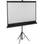 SpeaKa Professional Ekran projekcyjny na statywie 200 x 112 cm 16:9 SP-PST-350 SP-9430132