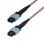 StarTech.com 10m MTP/MPO-12 jednomodowy kabel światłowodowy OS2 - z uchwytem push/pull