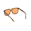 Okulary przeciwsłoneczne WEB EYEWEAR Unisex WE0263-5956J Kwadratowa oprawka Havana Acetate Zielone soczewki poliwęglanowe 59/13/145 mm UV400