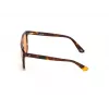 Okulary przeciwsłoneczne WEB EYEWEAR Unisex WE0263-5956J Kwadratowa oprawka Havana Acetate Zielone soczewki poliwęglanowe 59/13/145 mm UV400
