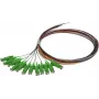 Zestaw patchcordów światłowodowych SYNERGY21 S215560 2 m OS2 E-2000 (LSH) Wielokolorowy 12 szt.