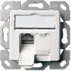 Telegärtner AMJ45 8/8 K Up/50 Cat.6A podtynkowe gniazdo danych, 2x RJ45, ekranowane, perłowa biel RAL 1013 J00020A0501