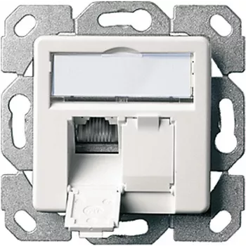 Telegärtner AMJ45 8/8 K Up/50 Cat.6A podtynkowe gniazdo danych, 2x RJ45, ekranowane, perłowa biel RAL 1013 J00020A0501