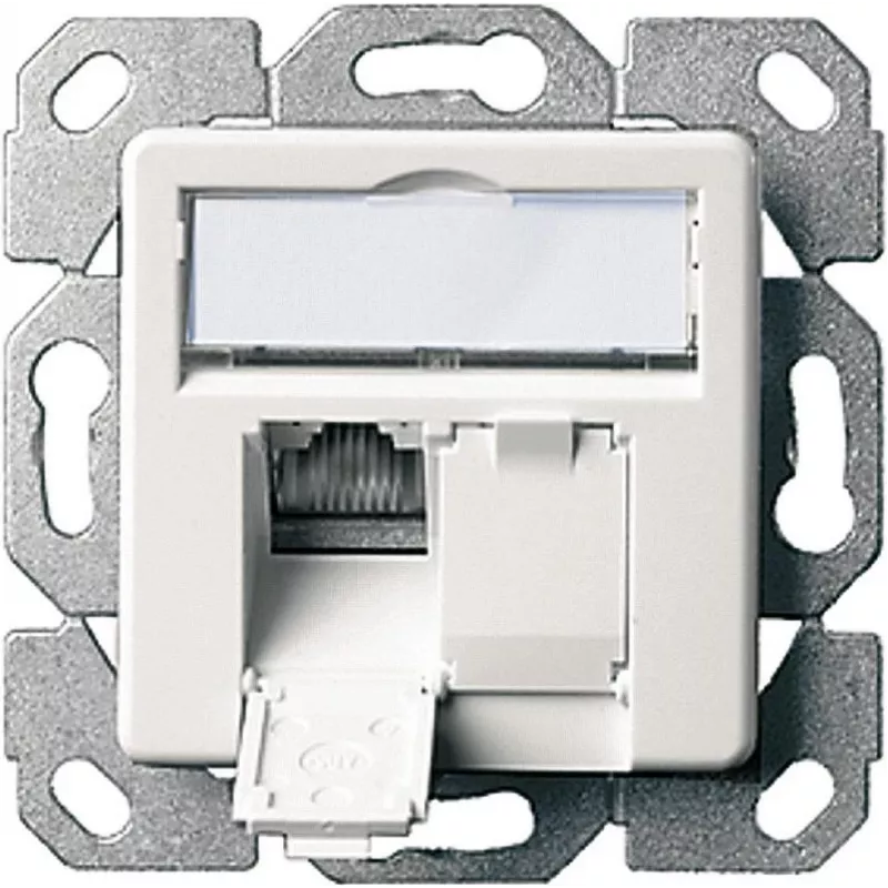 Telegärtner AMJ45 8/8 K Up/50 Cat.6A podtynkowe gniazdo danych, 2x RJ45, ekranowane, perłowa biel RAL 1013 J00020A0501