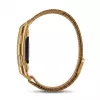 Titmo Loop I-110 Gold Smartband z ECG, HRV, HR, BP, SpO2, IP68, Bluetooth
