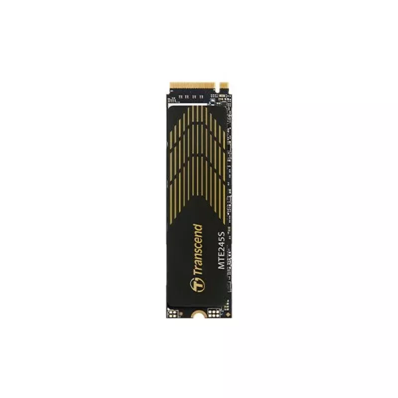 Transcend 250GB M.2 2280 PCIe Gen4x4 NVMe 3D TLC DRAM-less Internal Solid State Drive