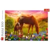 TREFL Puzzle 500 - Horses in the Meadow