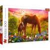 TREFL Puzzle 500 - Horses in the Meadow