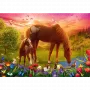 TREFL Puzzle 500 - Horses in the Meadow