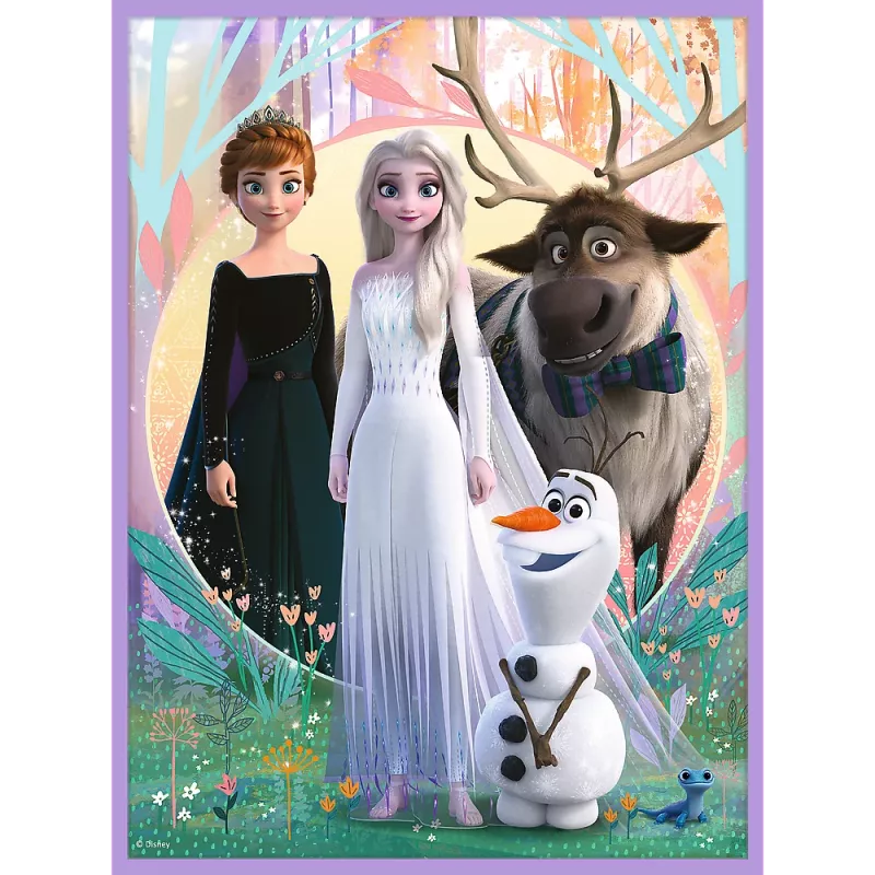 TREFL PUZZLE Puzzle - 2w1 + Memos Księżniczki w swojej krainie - Disney Kraina Lodu 2 93335
