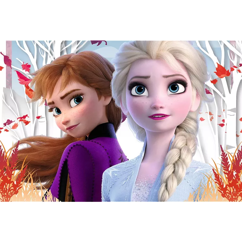 TREFL PUZZLE Puzzle 60 The Magic World of Anna and Elsa