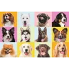 TREFL PUZZLE Puzzles - 60 - Sweet puppies