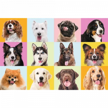 TREFL PUZZLE Puzzles - 60 - Sweet puppies