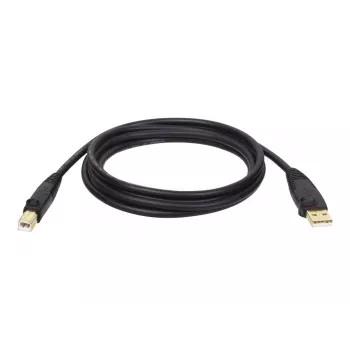 Tripp Eaton Tripp Lite Series USB 2.0 A to B Cable (M/M)