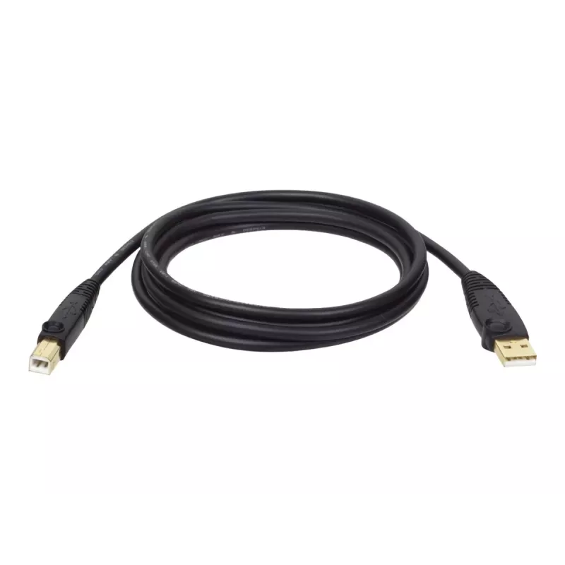 Tripp Eaton Tripp Lite Series USB 2.0 A to B Cable (M/M)