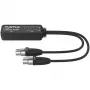 Turtle AV Turtle 2CH Analog XLR Input Dante Adapter