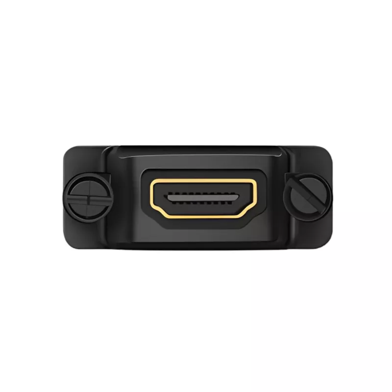 UGREEN 20124-20124 DVI (24+1) Męski na HDMI Żeński Adapter - Czarny
