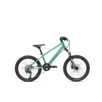 VAAST Y/1 Mountain Bike 20 Inch Gloss Teal – Junior MTB z ramą Super Magnesium