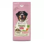 VERSELE-LAGA HappyLife Dry Dog Food with Lamb for Adult Dogs 12.5kg