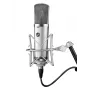 Warm Audio WA-67 Tube Condenser Microphone Silver Studio Microphone