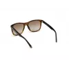 WEB EYEWEAR MAN WE0279-5652G Okulary przeciwsłoneczne Havana Green 56/19/145 mm