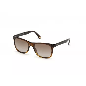 WEB EYEWEAR MAN WE0279-5652G Okulary przeciwsłoneczne Havana Green 56/19/145 mm