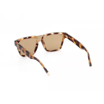 WEB EYEWEAR MAN WE0314-0041F Okulary przeciwsłoneczne Oprawka Havana Acetate Soczewki Brązowy Gradient 54-19-145