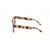 WEB EYEWEAR MAN WE0314-0041F Okulary przeciwsłoneczne Oprawka Havana Acetate Soczewki Brązowy Gradient 54-19-145