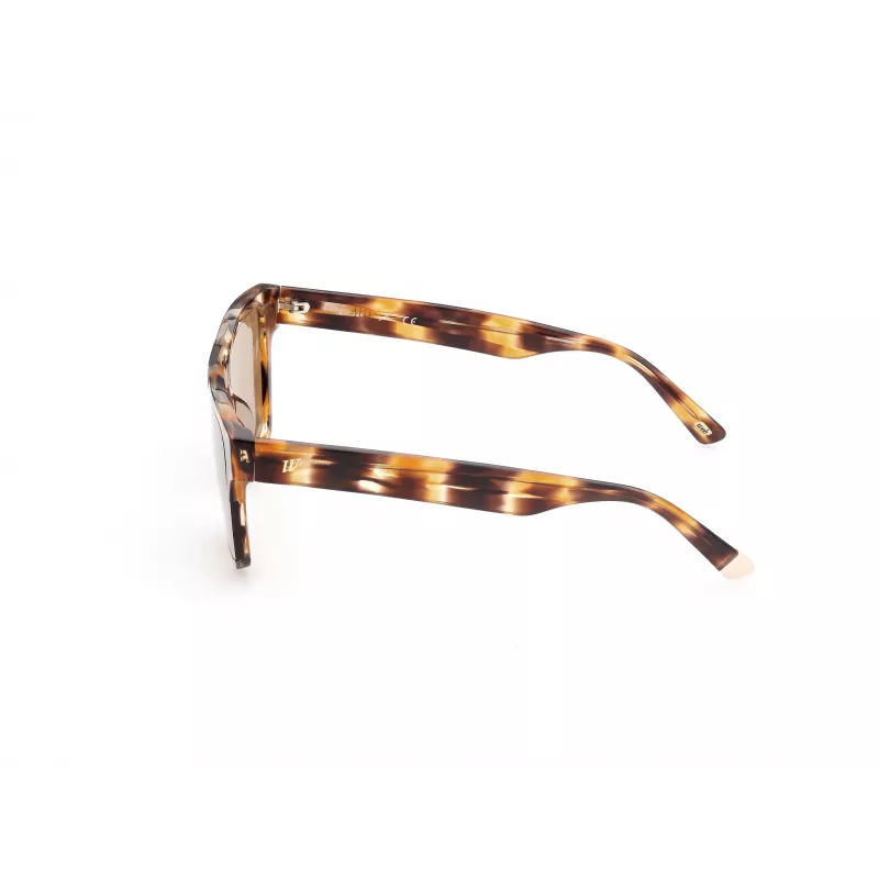 WEB EYEWEAR MAN WE0314-0041F Okulary przeciwsłoneczne Oprawka Havana Acetate Soczewki Brązowy Gradient 54-19-145