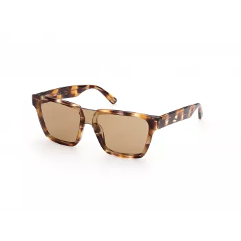 WEB EYEWEAR MAN WE0314-0041F Okulary przeciwsłoneczne Oprawka Havana Acetate Soczewki Brązowy Gradient 54-19-145