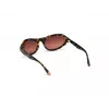 WEB EYEWEAR Okulary przeciwsłoneczne damskie WE0288-6052F Havana Grey Gradient 60/18/125 mm